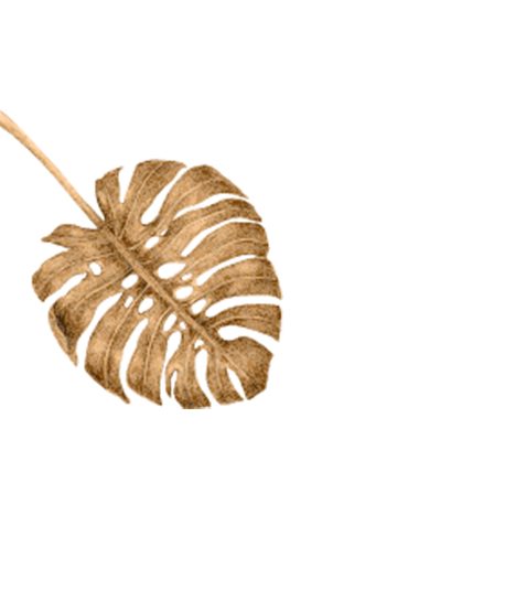 feuille