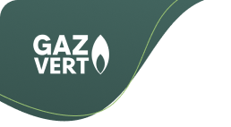Mask Gaz Vert