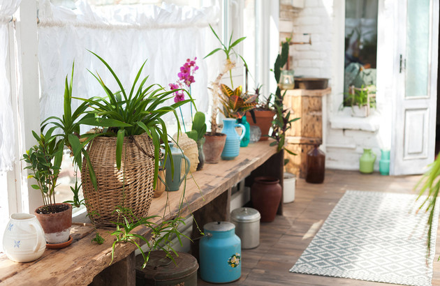 Une véranda jardin d'intérieur