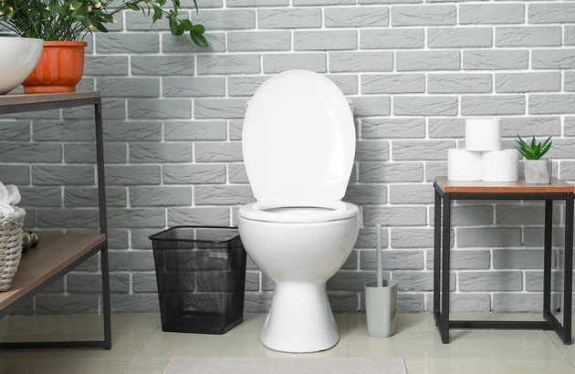 toilettes avec décor dans les tons gris