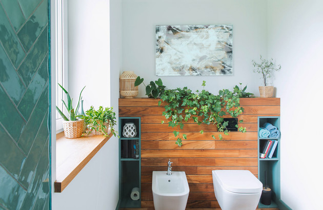 Toilettes à l'ambiance nature et murs verts