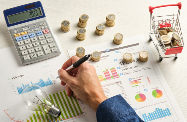 personne qui fait des calculs de ses économies 