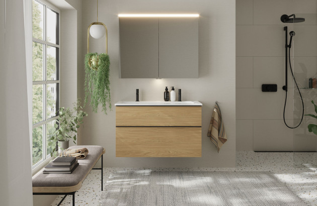 Salle de bains moderne et organisée avec une plante verte