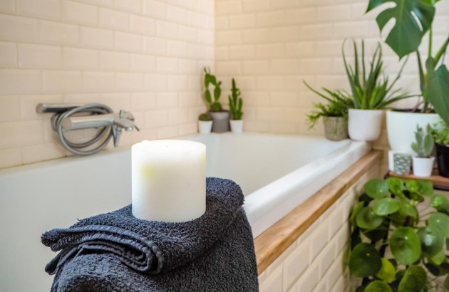 Baignoire avec des plantes et des accessoires de salle de bains autour
