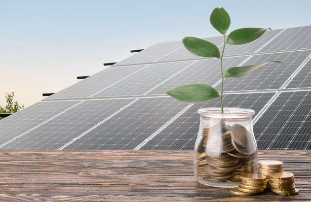 Bocal avec des pièces et une plante devant une installation de panneaux solaires