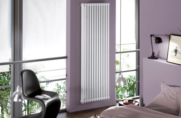 Radiateur vertical en fonte blanc