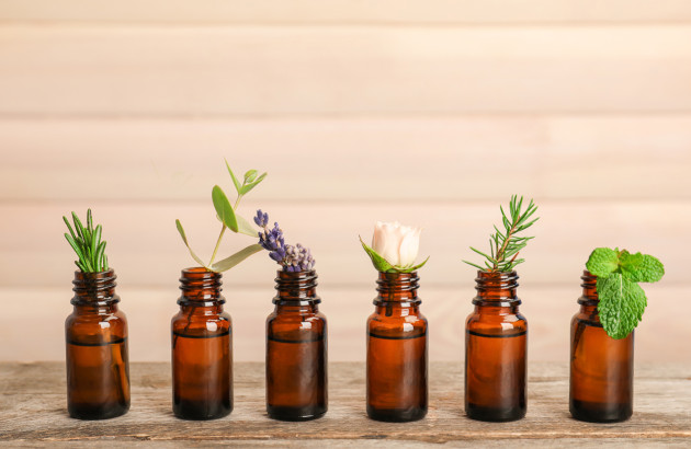 6 Plantes aromatiques dans des pots en verre pour une diffusion d'arome