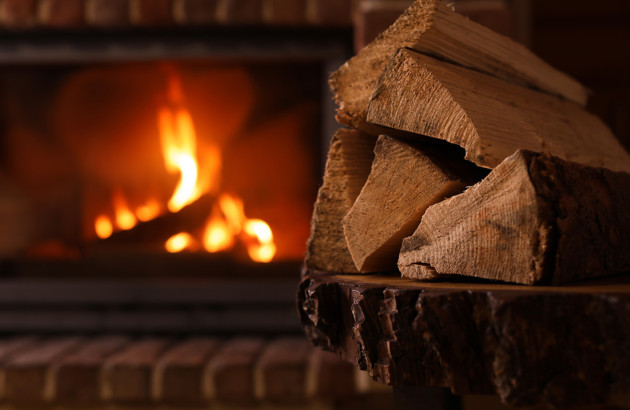 Buches de bois coupées devant une cheminée