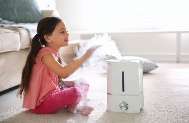 purificateur d'air et climatiseur déshumidificateur