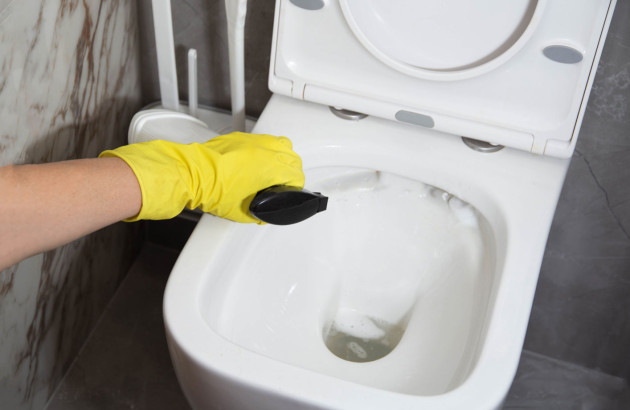 Personne qui vaporise du spray nettoyant dans ses toilettes