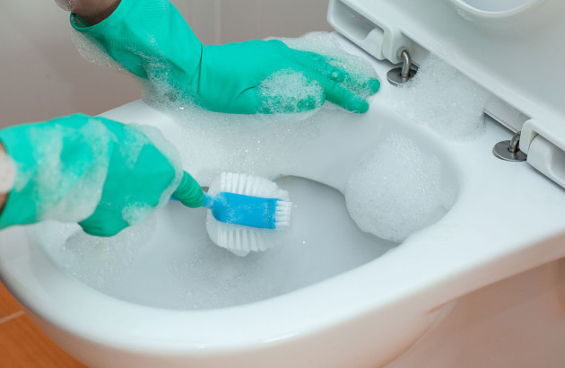 Personne qui brosse l'intérieur de ses wc