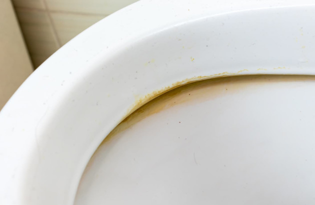 Les dépôts de caclaire dans la cuvette des WC