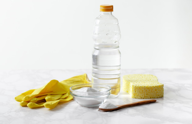 Bouteille de vinaigre avec matériel d'entretien