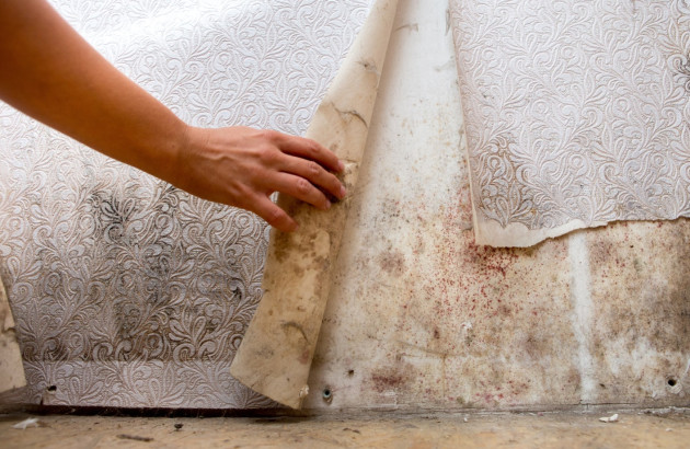 Papier peint rongé par l'humidité excessive