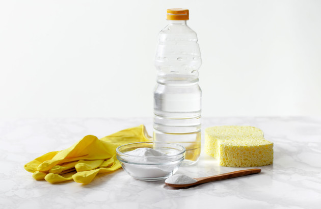 Ensemble de produits d'entretien naturels