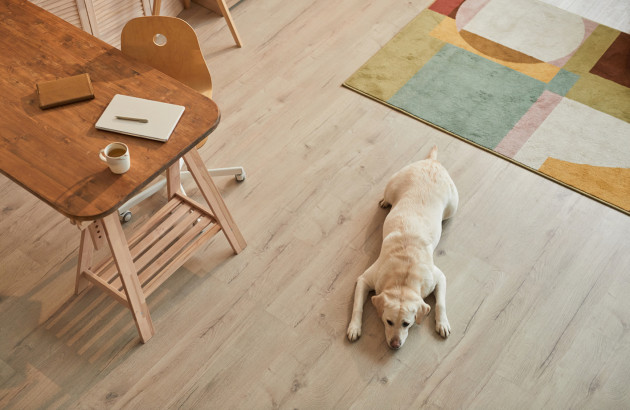 Carrelage imitation bois blanchi dans un bureau avec tapis coloré et chien, ambiance chaleureuse et moderne