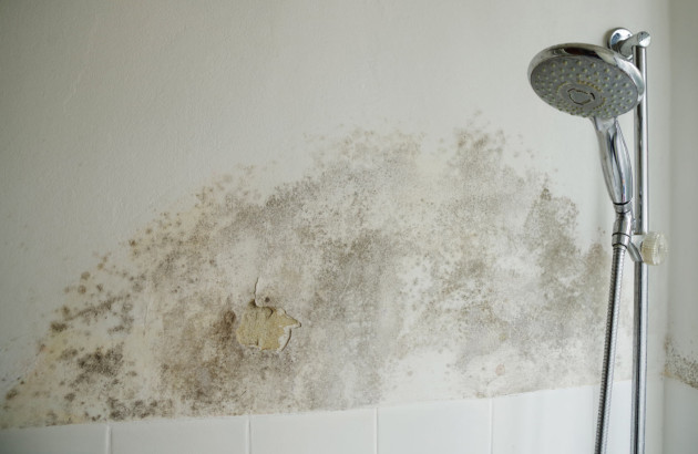 infiltration d'eau dans une salle de bain 