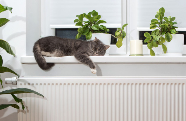 Chat allongé devant un radiateur