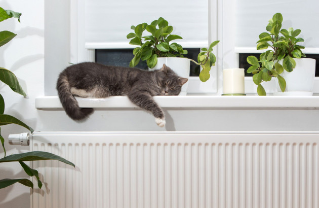 Chat allongé devant un radiateur