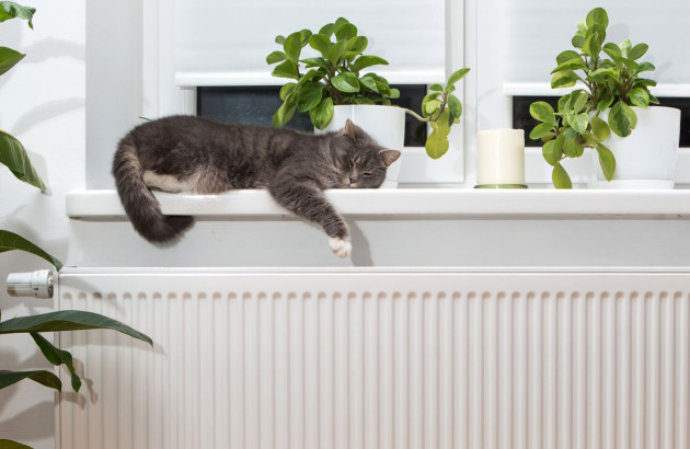 Chat allongé sur un rebord de fenêtre au-dessus d'un radiateur blanc