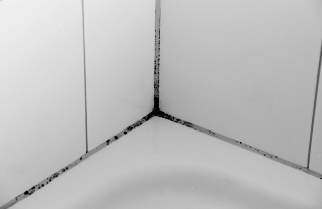 Joint de faïence moisi