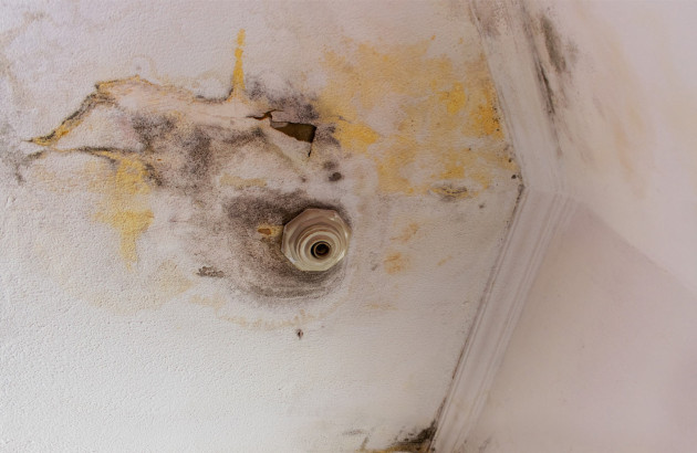 Plafond détérioré avec moisissure 