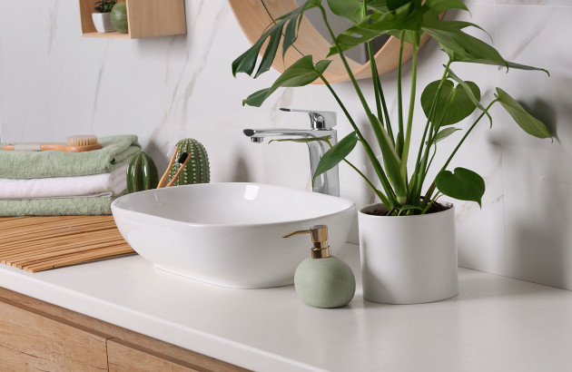 Plante de type philodendron devant une vasque