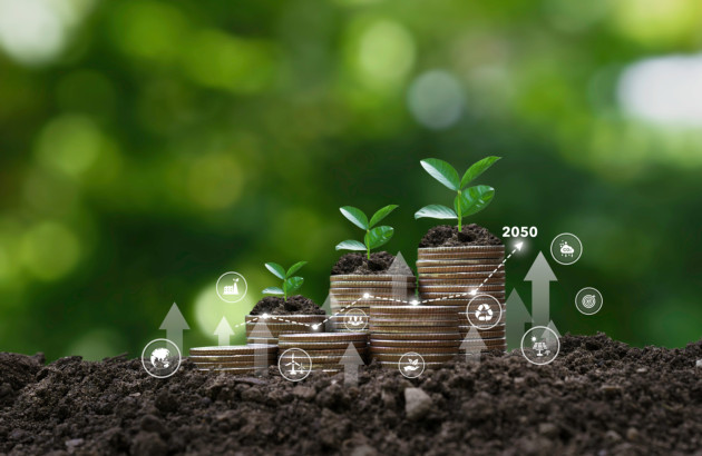 Pousses de plantes avec un graphique qui représente le développement durable