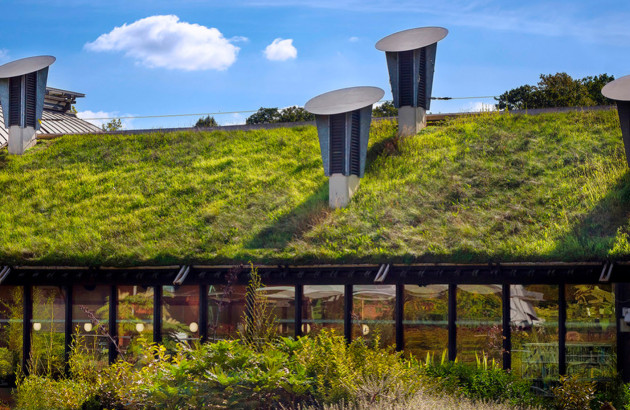 Maison avec un toit recouvert d'herbe