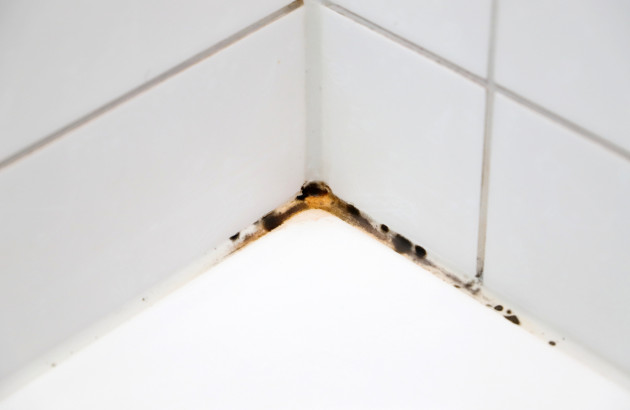 Joints de carrelage moisis