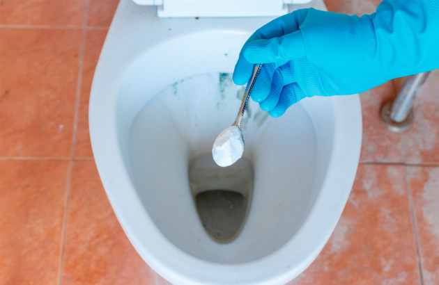 Personne avec des gants qui s'apprête à ajouter de la poudre dans les WC