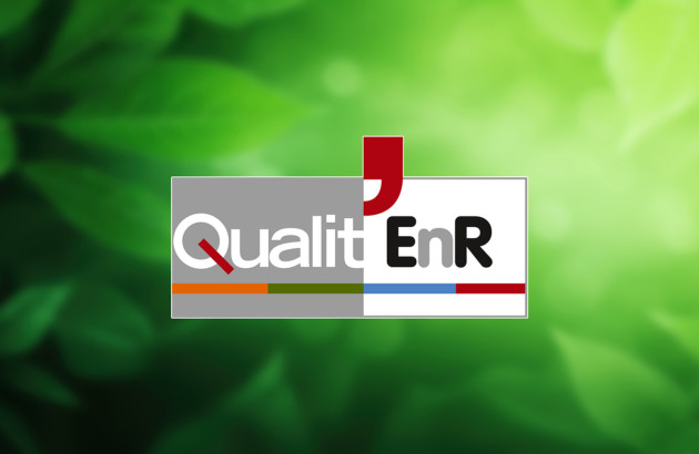 Visuel logo Qualit'EnR fond feuilles vertes