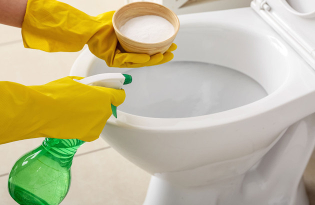 Personne qui nettoie les toilettes