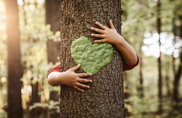 Personne qui embrasse un arbre