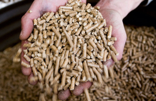 mains qui tiennent des pellets de bois