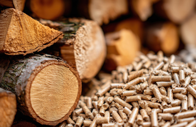 Buches de bois coupées et granulés de bois