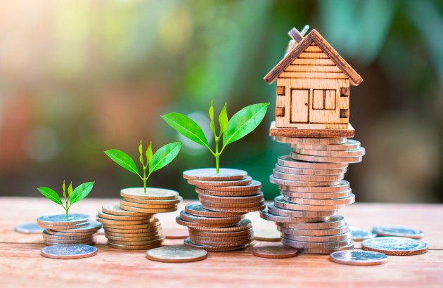 Pièces avec des plantes et une maisonnette en bois, synonyme d'économies