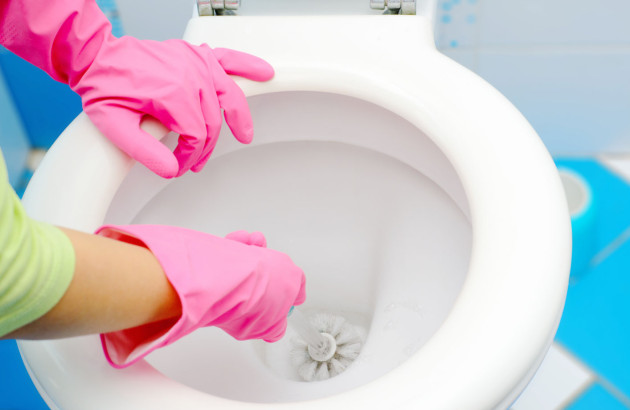 Personne munie de gants roses qui procède à un détartrage de toilettes