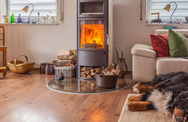 Salon avec poêle à bois noir et un chien qui se repose tranquillement