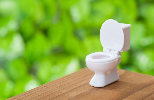 Hygiène: Abattant WC zen galet