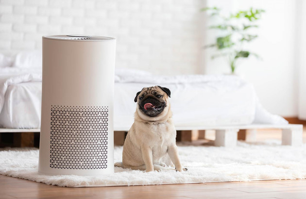 Installer un purificateur d'air dans sa salle de bains