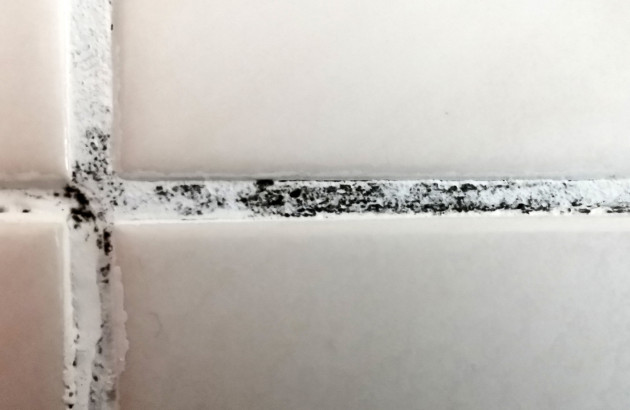 Joints de carrelage blancs avec des tâches de moisissure
