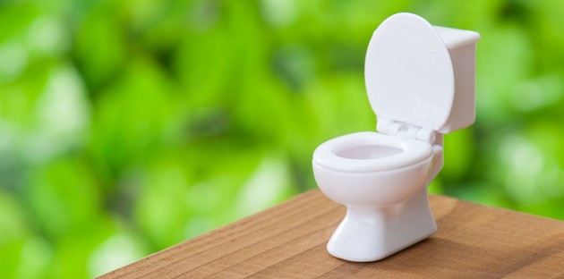 Nettoyer ses WC : conseils d'entretien pour les toilettes - La Belle Adresse