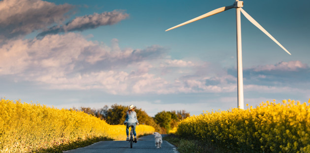 Personne marchant dans un champ de colza avec une éolienne au loin