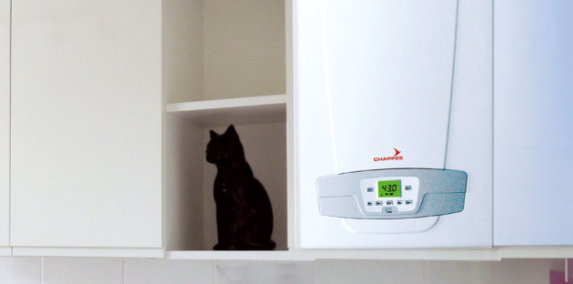 Chaudière murale à gaz Chappée blanche installée dans une cuisine, à côté d’une étagère accueillant un chat noir.