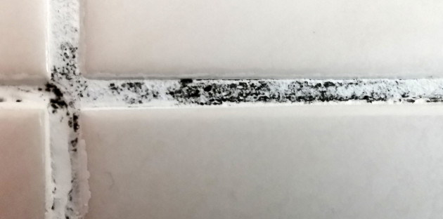 Joints de carrelage blancs avec des tâches de moisissure