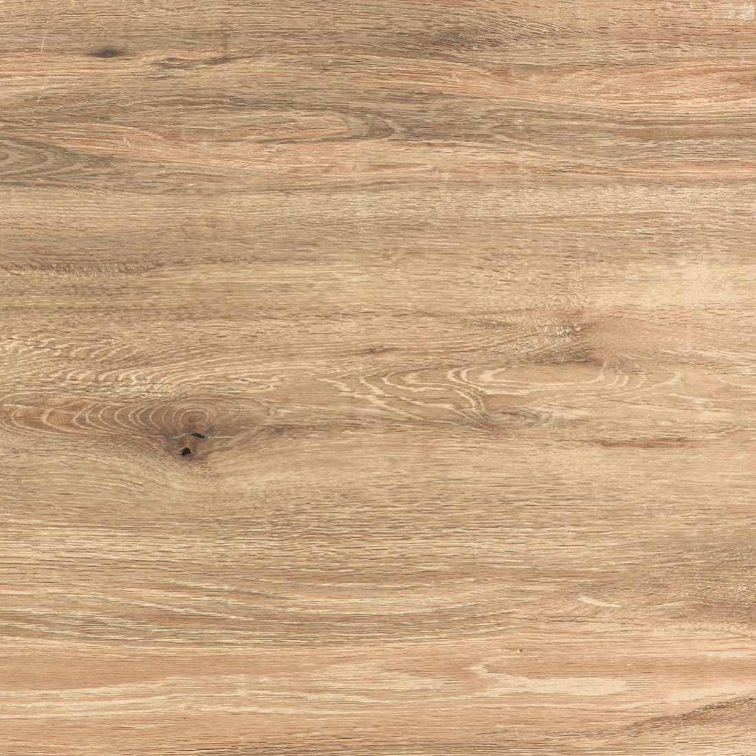 texture matière bois naturel