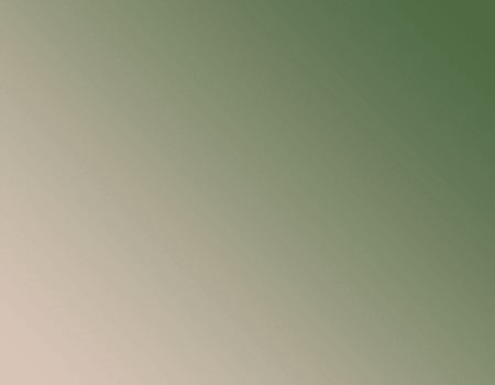 degradé vert