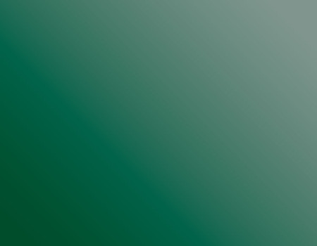 degradé vert sapin