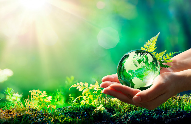 deux mains portant une bulle d'eau représentant la terre et la nature